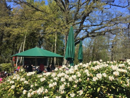 Photo: Schlösschen Sundische Wiese